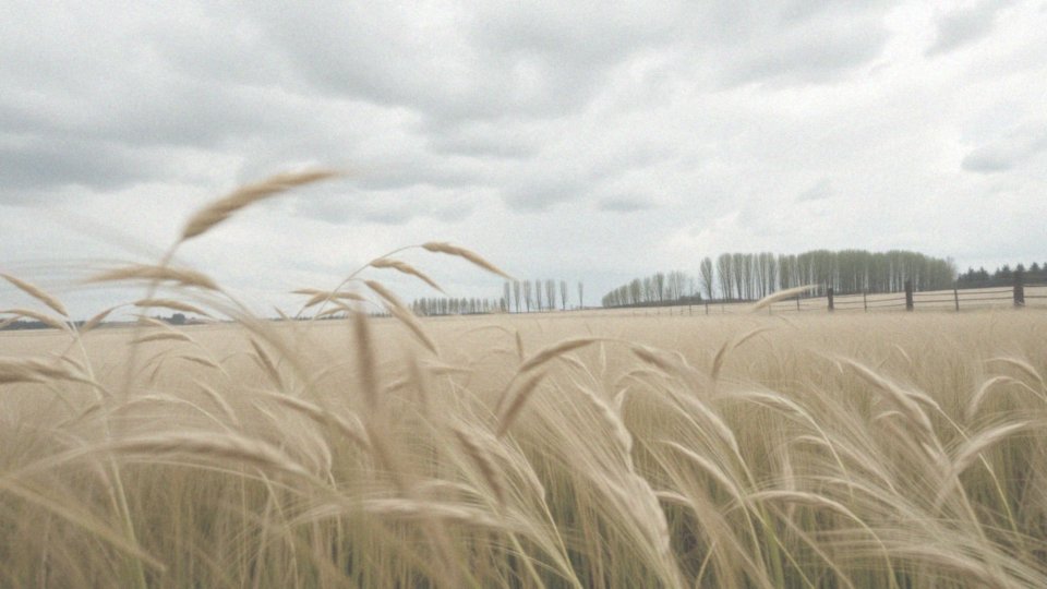 Czy wiatr wystąpi podczas majówki?
