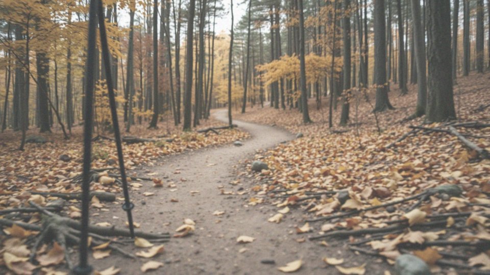 Co to jest nordic walking i dlaczego warto go spróbować?