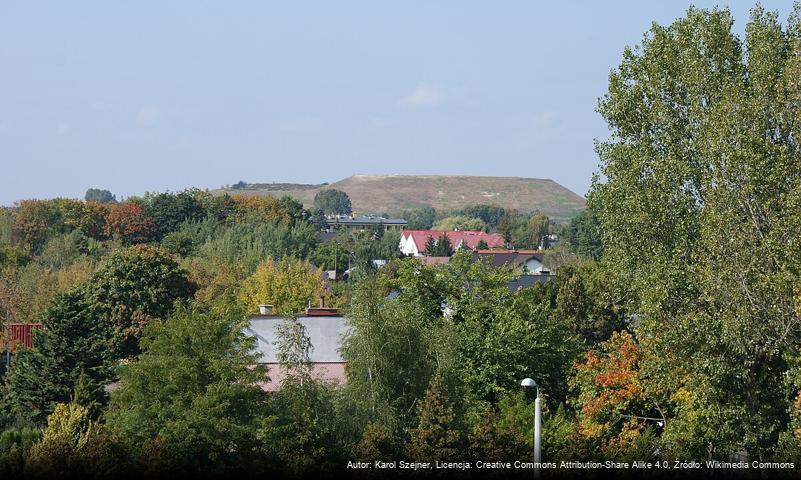 Gąsin (Pruszków)