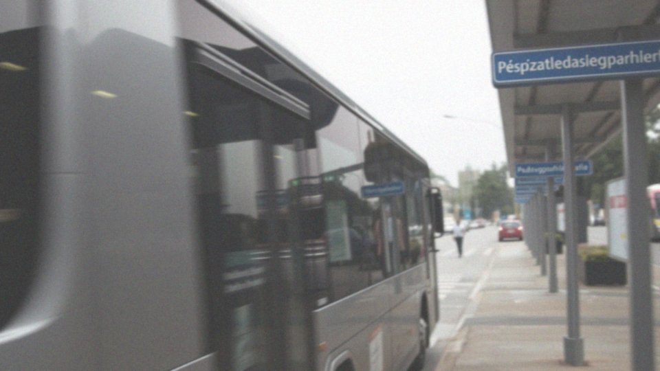 Ile kosztuje bus do Holandii? Ceny biletów i porady